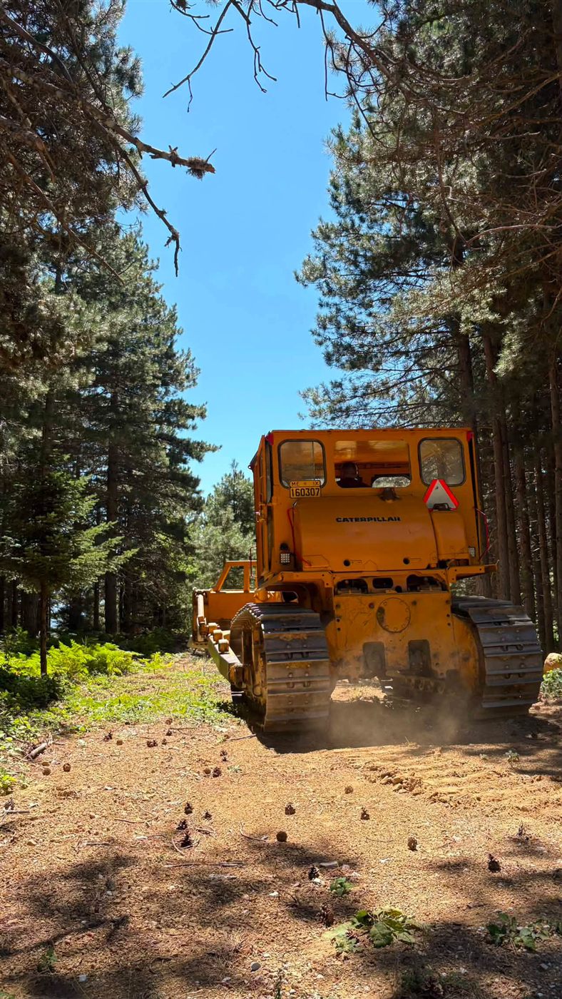 Καθαρισμοί δασικών δρόμων Προωθητής γαιών Caterpillar σε δασικό δρόμο